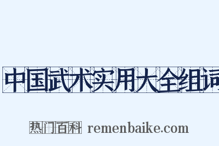 中国武术实用大全组词是什么意思的图片